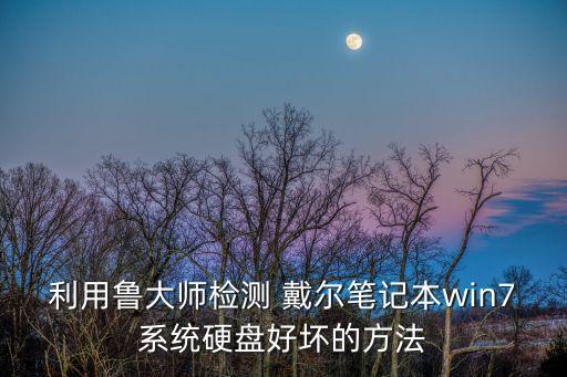 利用魯大師檢測(cè) 戴爾筆記本win7系統(tǒng)硬盤(pán)好壞的方法