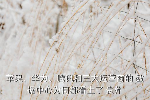 蘋(píng)果、華為、騰訊和三大運(yùn)營(yíng)商的 數(shù)據(jù)中心為何都看上了 貴州