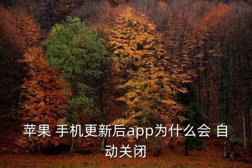 蘋果 手機(jī)更新后app為什么會 自動關(guān)閉