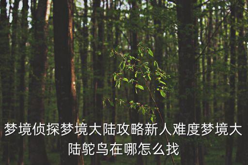 夢境偵探夢境大陸攻略新人難度夢境大陸鴕鳥在哪怎么找