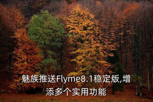 魅族推送Flyme8.1穩(wěn)定版,增添多個實用功能