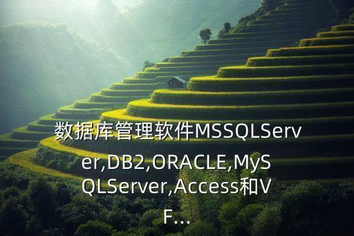  數(shù)據(jù)庫(kù)管理軟件MSSQLServer,DB2,ORACLE,MySQLServer,Access和VF...