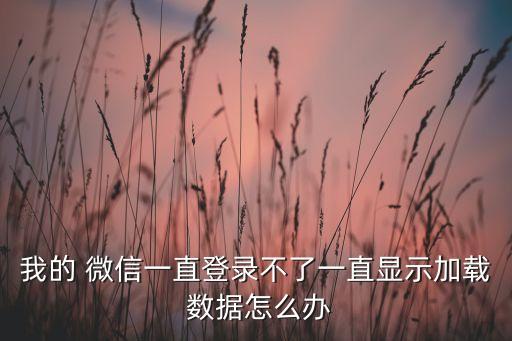 我的 微信一直登錄不了一直顯示加載 數(shù)據(jù)怎么辦