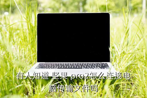 有人知道 堅(jiān)果 pro2怎么連接電腦傳輸文件嗎