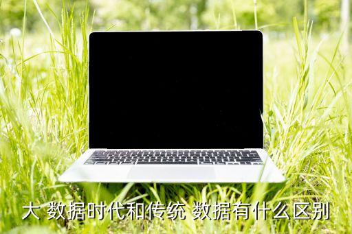 大 數(shù)據(jù)時(shí)代和傳統(tǒng) 數(shù)據(jù)有什么區(qū)別