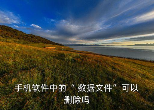  手機(jī)軟件中的“ 數(shù)據(jù)文件”可以 刪除嗎
