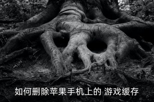 如何刪除蘋果手機上的 游戲緩存