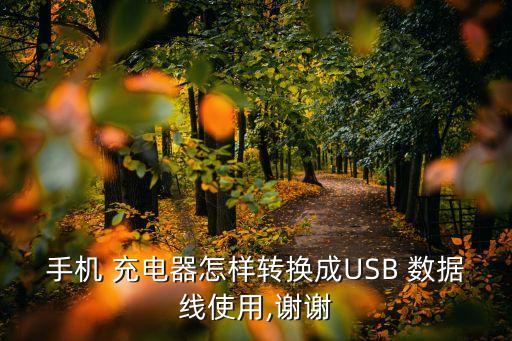 手機 充電器怎樣轉(zhuǎn)換成USB 數(shù)據(jù)線使用,謝謝