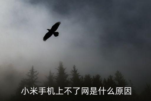 小米 打不開數(shù)據網絡,小米開不了機數(shù)據怎么辦
