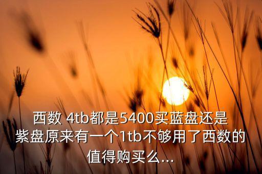 西數(shù) 4tb都是5400買藍(lán)盤還是紫盤原來有一個1tb不夠用了西數(shù)的值得購買么...