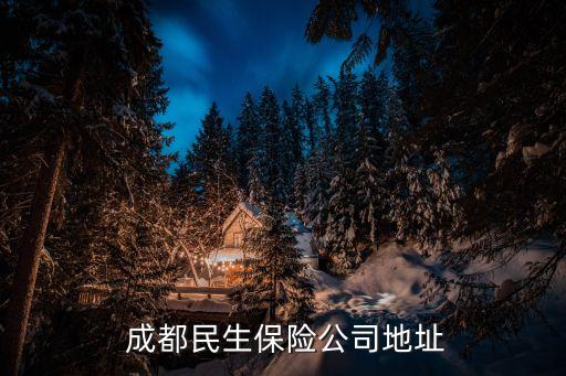 平安數(shù)據(jù)科技2014成都 新樂南街111號(hào)