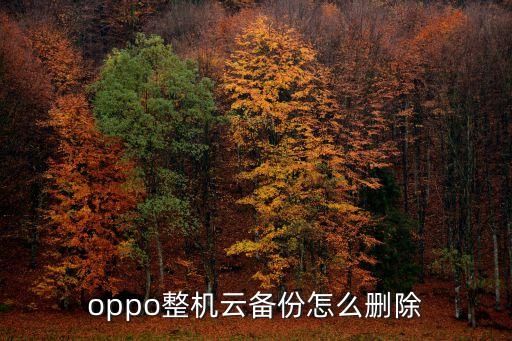 oppo整機(jī)云備份怎么刪除
