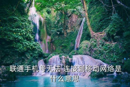  聯(lián)通手機號無法 連接到移動網(wǎng)絡(luò)是什么意思