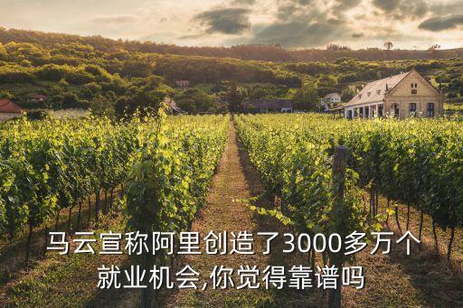  馬云宣稱阿里創(chuàng)造了3000多萬(wàn)個(gè)就業(yè)機(jī)會(huì),你覺(jué)得靠譜嗎