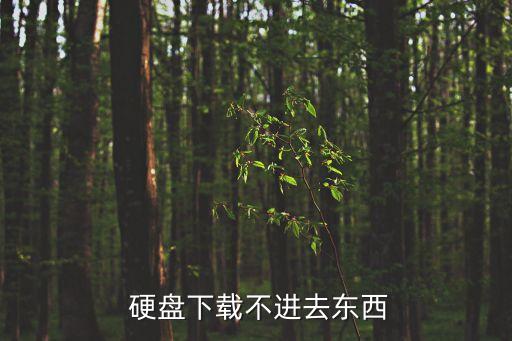  硬盤下載不進(jìn)去東西