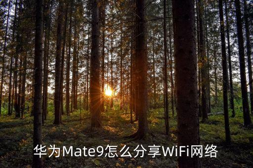 mate9開數(shù)據(jù)熱點,怎么開數(shù)據(jù)熱點