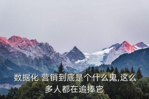  數(shù)據(jù)化 營(yíng)銷(xiāo)到底是個(gè)什么鬼,這么多人都在追捧它
