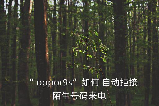 oppor9s自動攔截信息