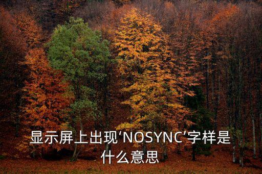 顯示屏上出現(xiàn)‘NOSYNC’字樣是什么意思