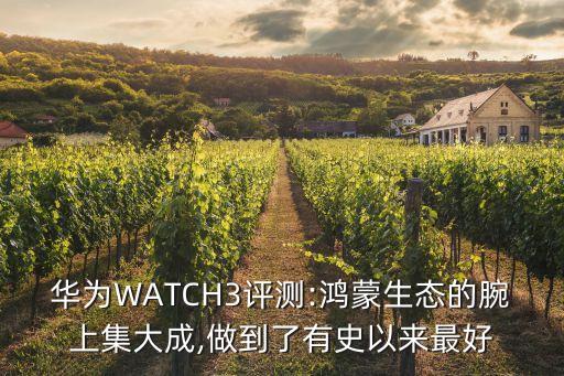 華為WATCH3評測:鴻蒙生態(tài)的腕上集大成,做到了有史以來最好