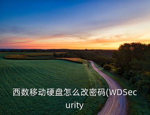西數(shù)移動(dòng)硬盤(pán)怎么改密碼(WDSecurity