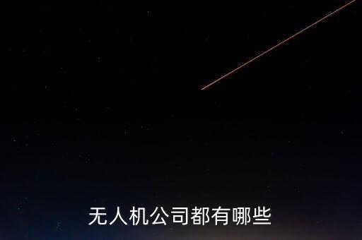 無人機公司都有哪些