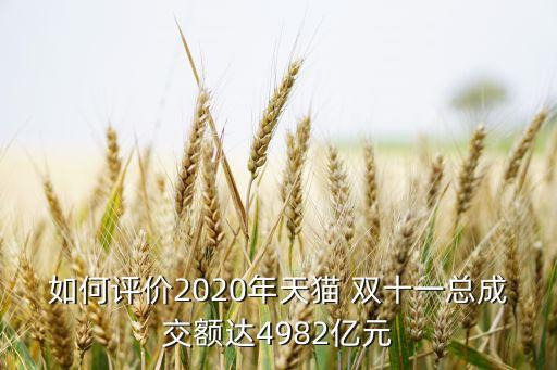 如何評(píng)價(jià)2020年天貓 雙十一總成交額達(dá)4982億元