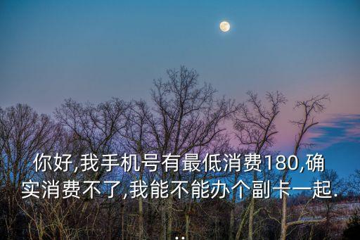你好,我手機(jī)號(hào)有最低消費(fèi)180,確實(shí)消費(fèi)不了,我能不能辦個(gè)副卡一起...
