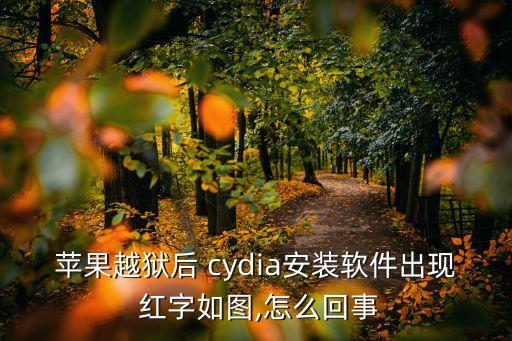 cydia提示數(shù)據(jù)庫紅字,Cydia出現(xiàn)紅字提示Sub