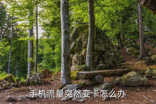 手機(jī)流量突然變卡怎么辦