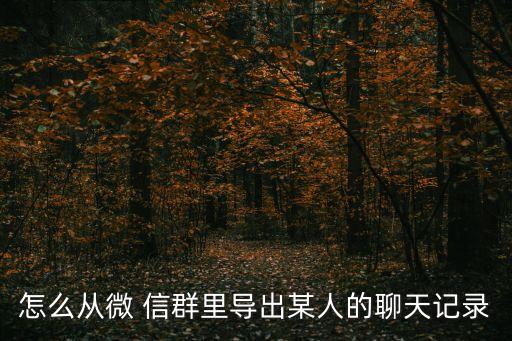 怎么從微 信群里導(dǎo)出某人的聊天記錄