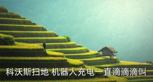 科沃斯掃地 機(jī)器人充電一直滴滴滴叫