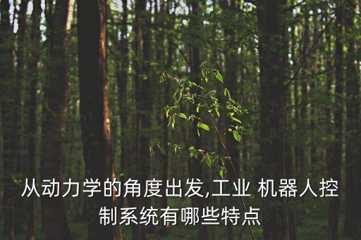 從動(dòng)力學(xué)的角度出發(fā),工業(yè) 機(jī)器人控制系統(tǒng)有哪些特點(diǎn)