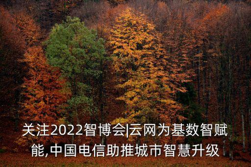 關(guān)注2022智博會(huì)|云網(wǎng)為基數(shù)智賦能,中國(guó)電信助推城市智慧升級(jí)