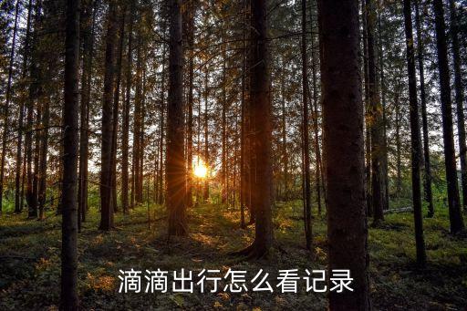  滴滴出行怎么看記錄