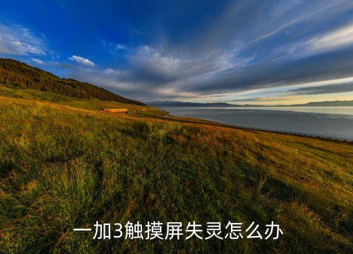  一加3觸摸屏失靈怎么辦