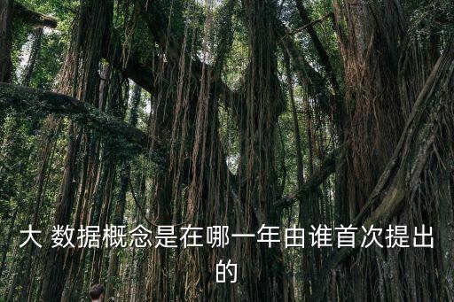 大 數(shù)據(jù)概念是在哪一年由誰首次提出的