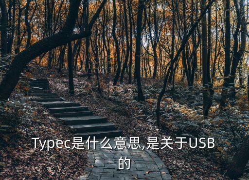 Typec是什么意思,是關于USB的