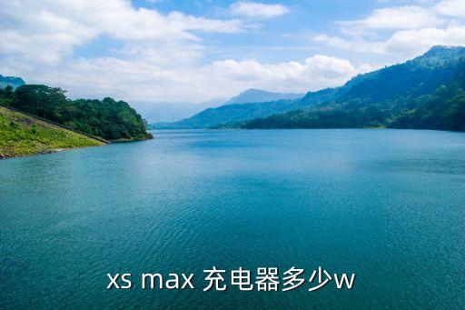 xs max 充電器多少w