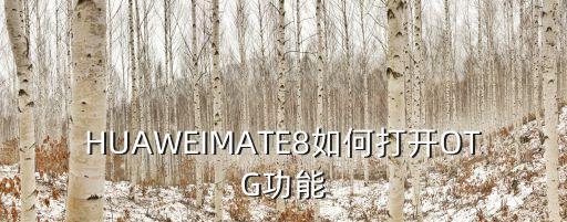 HUAWEIMATE8如何打開OTG功能