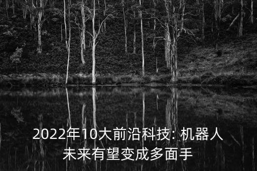 五年后的機器人