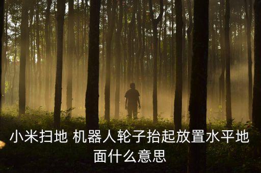 小米掃地 機器人輪子抬起放置水平地面什么意思