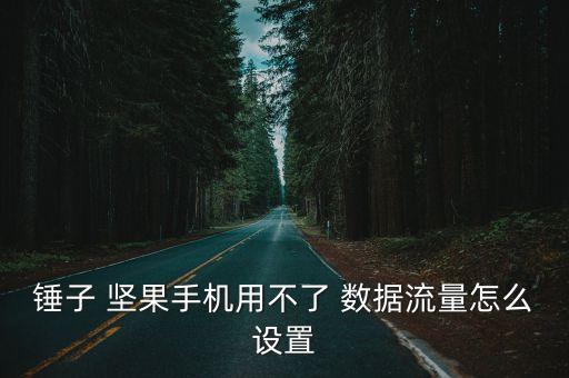 錘子 堅(jiān)果手機(jī)用不了 數(shù)據(jù)流量怎么設(shè)置