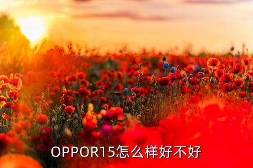 oppor15運動數(shù)據(jù)6