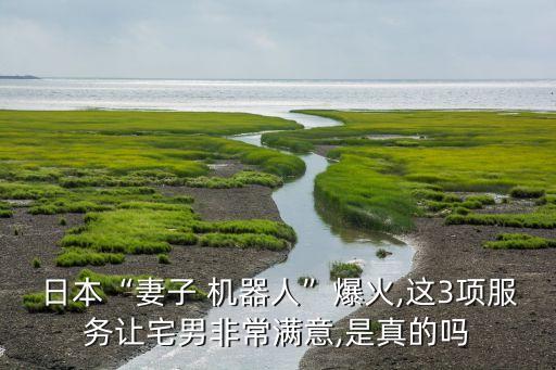 日本“妻子 機(jī)器人”爆火,這3項(xiàng)服務(wù)讓宅男非常滿意,是真的嗎