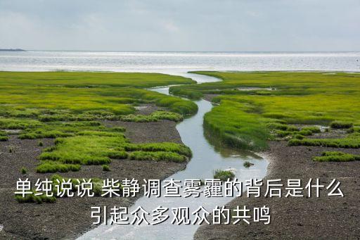 單純說說 柴靜調(diào)查霧霾的背后是什么引起眾多觀眾的共鳴