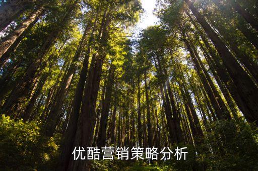  優(yōu)酷營銷策略分析