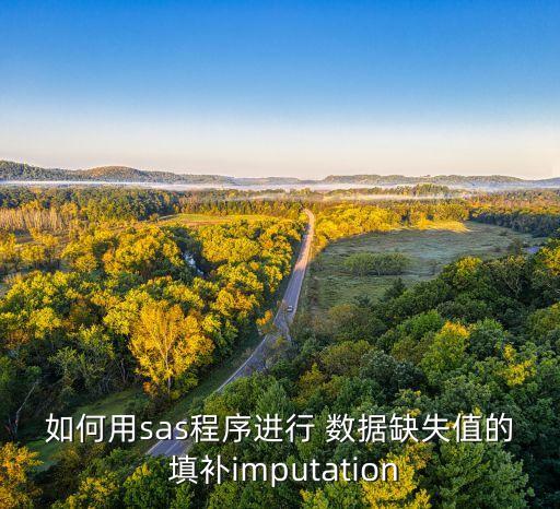 數(shù)據(jù)填補(bǔ)