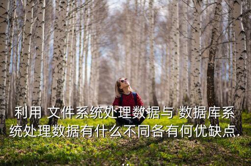 數據庫的文件系統(tǒng)