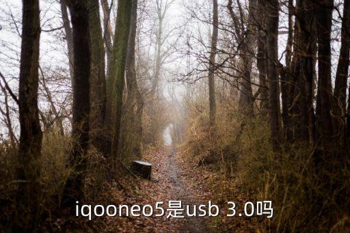 iqooneo5是usb 3.0嗎